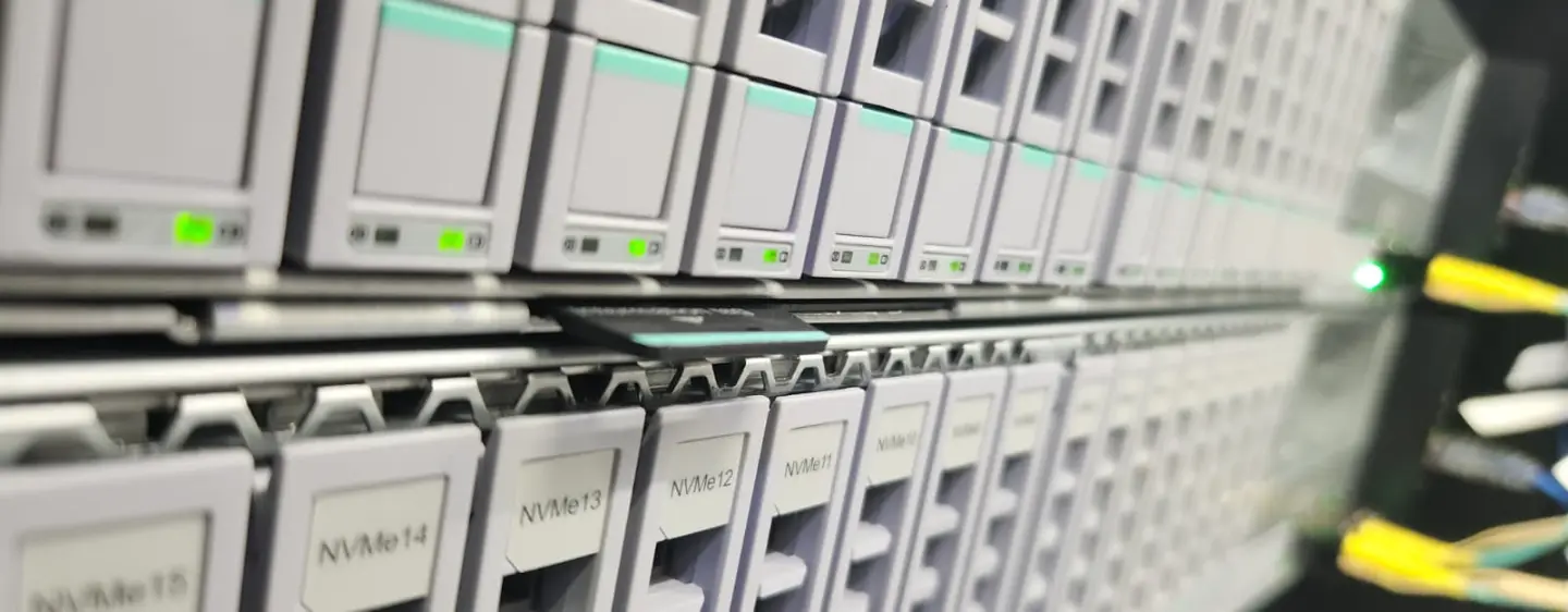 Unități de stocare NVMe montate într-un server
